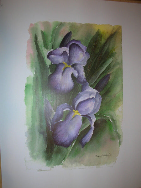 Iris Foral Watercolor Print; Limited Edition Iris Print; Limited Edition Floral Watercolor Print; Signed Limited Edition Floral
