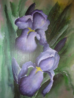 Iris Foral Watercolor Print; Limited Edition Iris Print; Limited Edition Floral Watercolor Print; Signed Limited Edition Floral